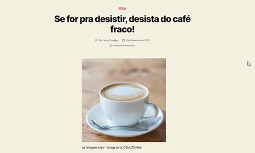 Imagem 13 post do instagram publicado no wordpress